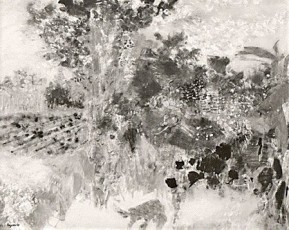 Campagne à Saint Rémy de Provence