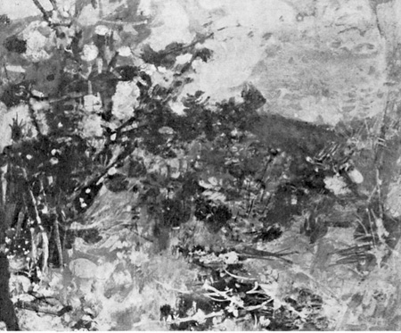 Le mimosa, paysage des Maures